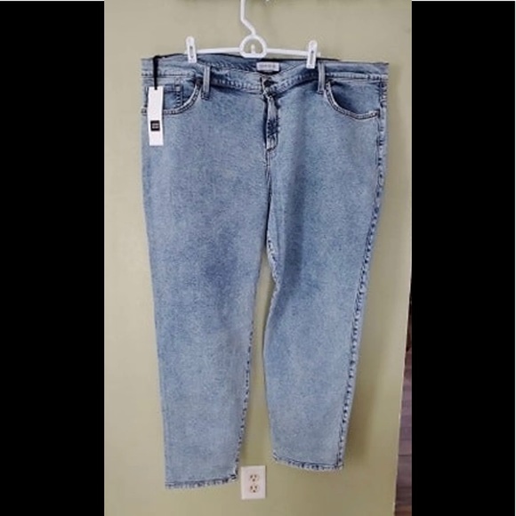 James Jeans | Jeans | Plus Size Jeans 
